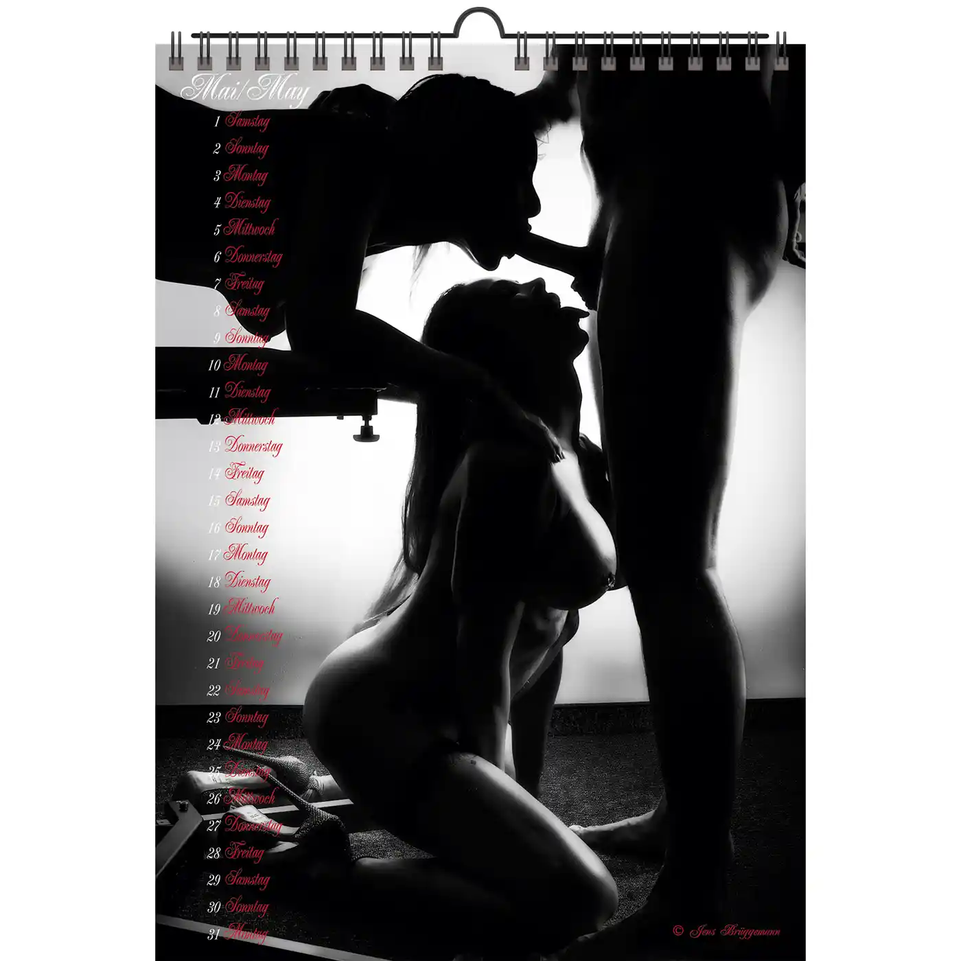 4PA-27 Jens A4 Passionate Adult 2027 + free 2026 calendar - Image 6