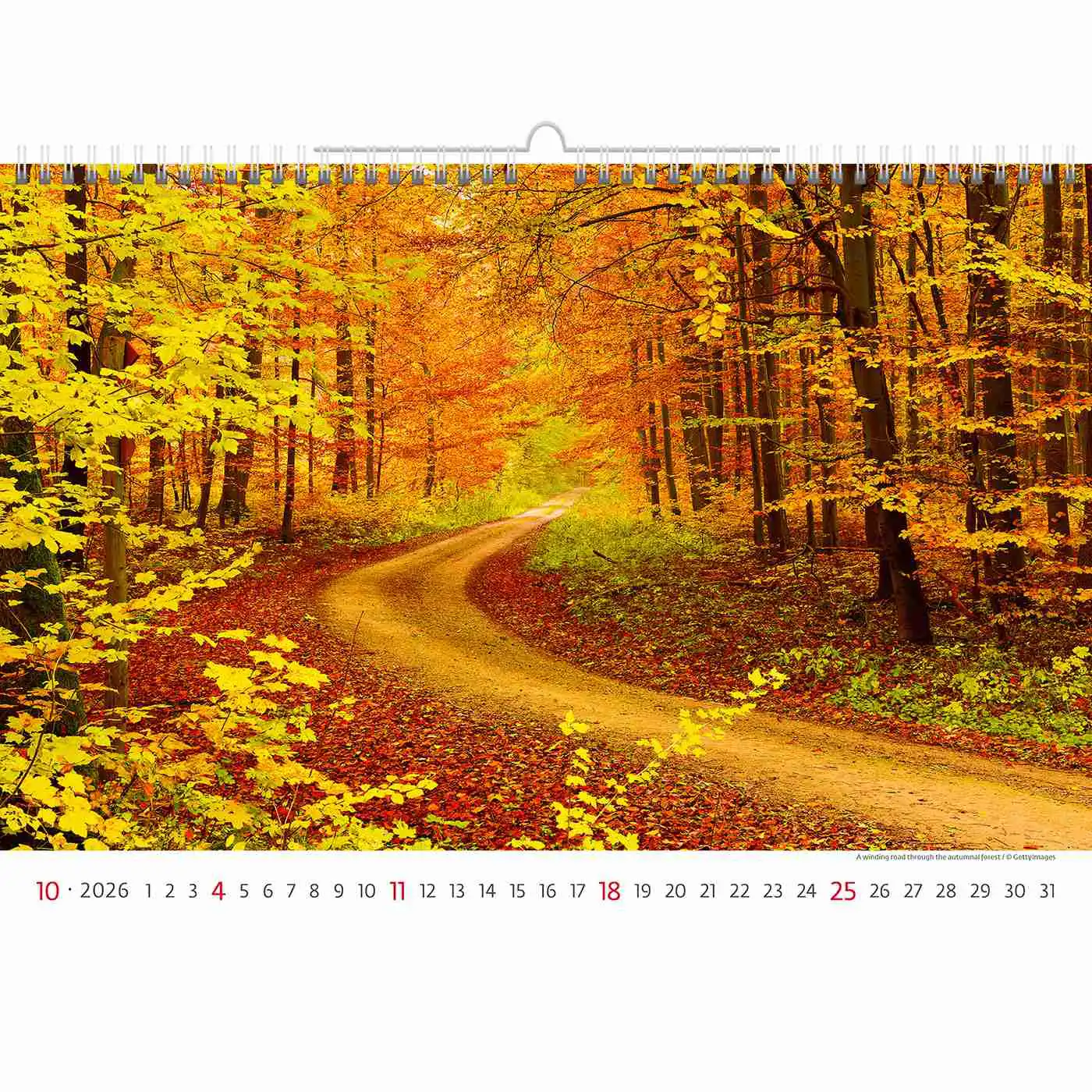 Via Travel Route Calendar A3+ 2026+ - Image 11