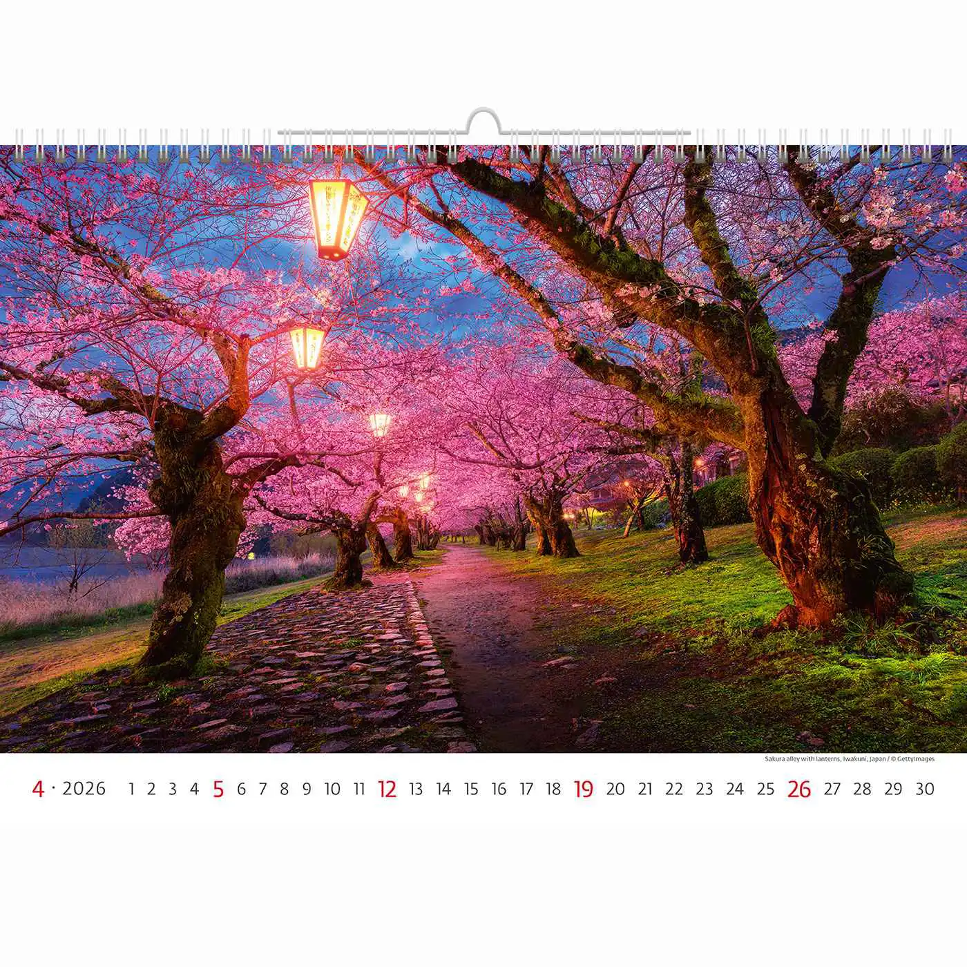 Via Travel Route Calendar A3+ 2026+ - Image 5