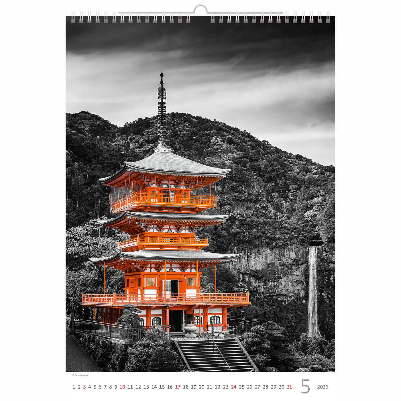 Splash of colour Calendar A3+ 2026+ - Image 10
