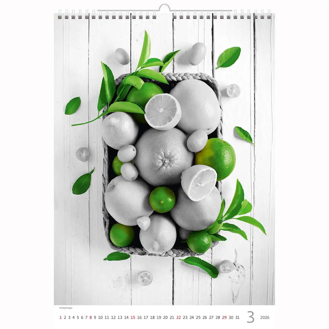 Splash of colour Calendar A3+ 2026+ - Image 12
