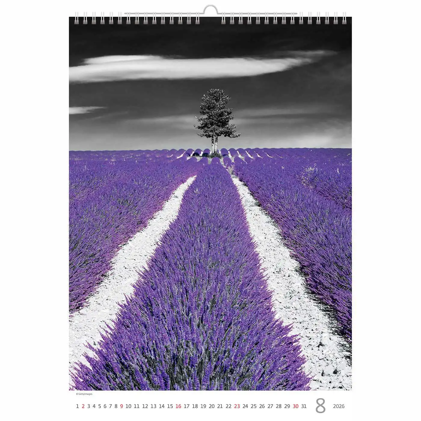 Splash of colour Calendar A3+ 2026+ - Image 7