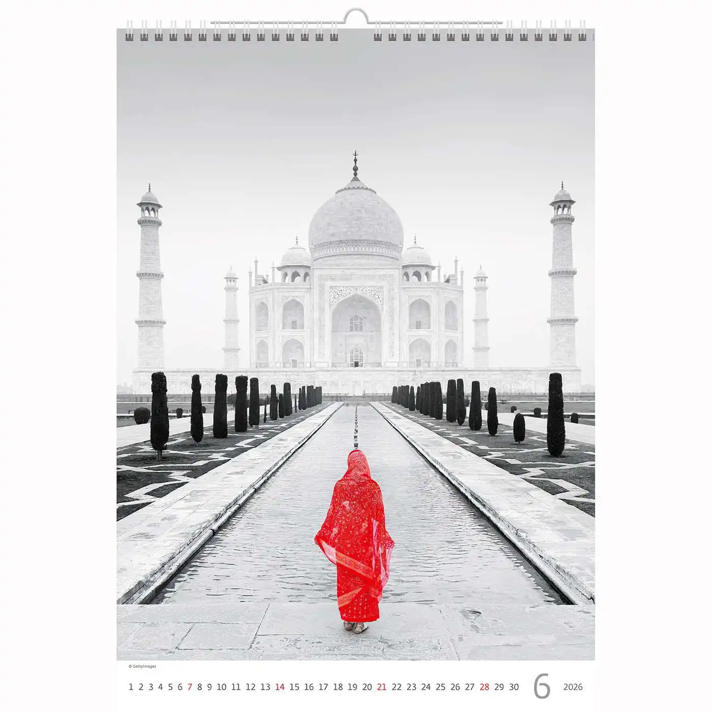 Splash of colour Calendar A3+ 2026+ - Image 9