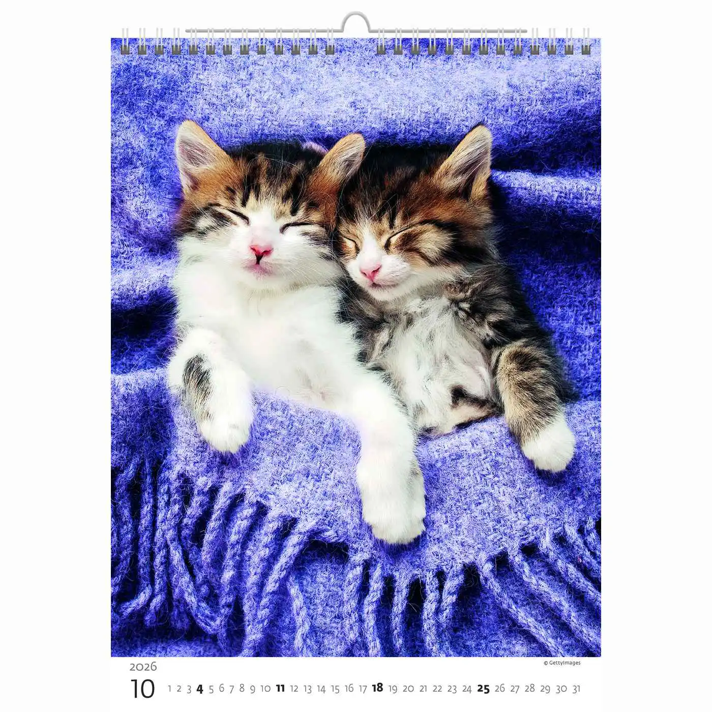 Cute Kittens Calendar A3+ 2026+ - Image 10