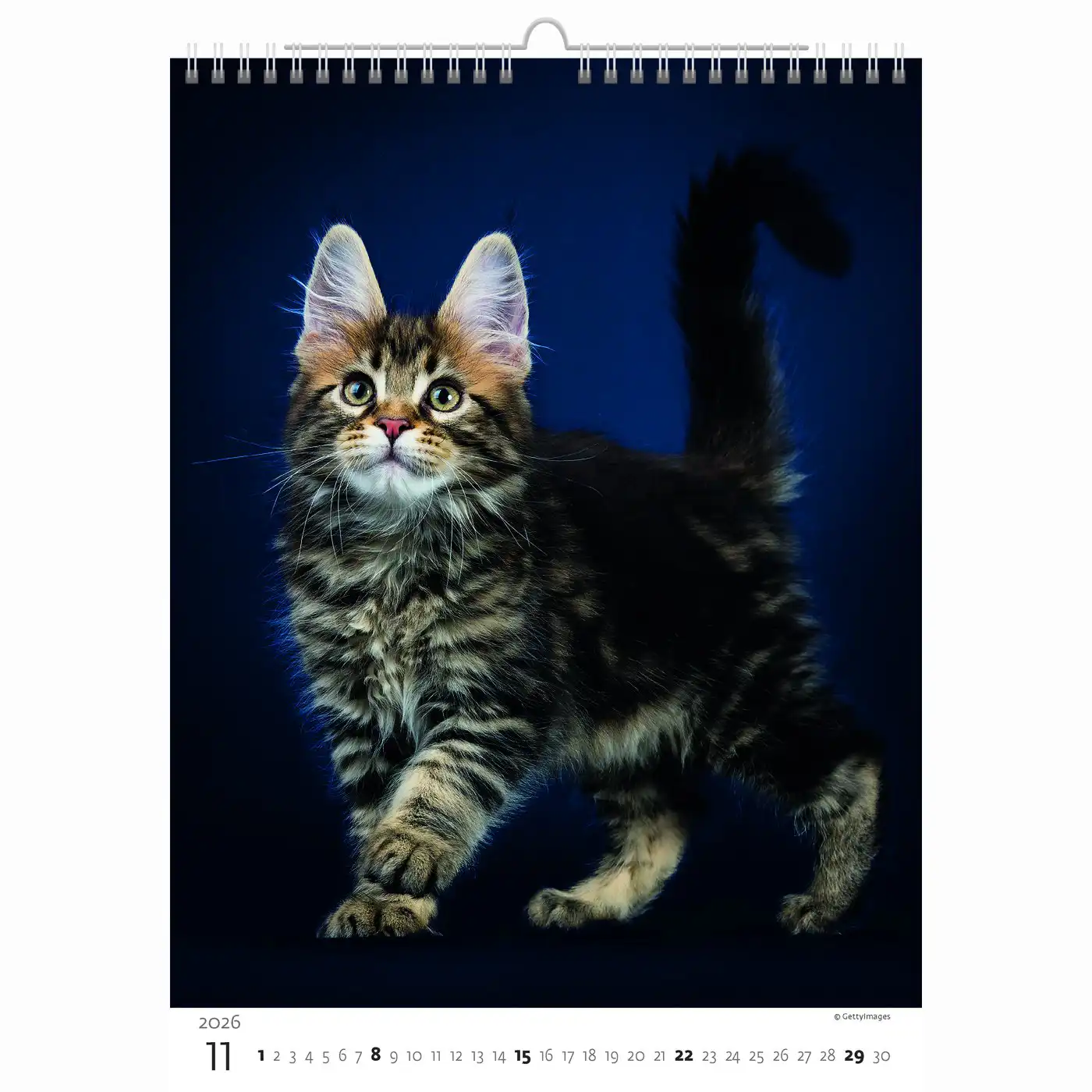 Cute Kittens Calendar A3+ 2026+ - Image 11
