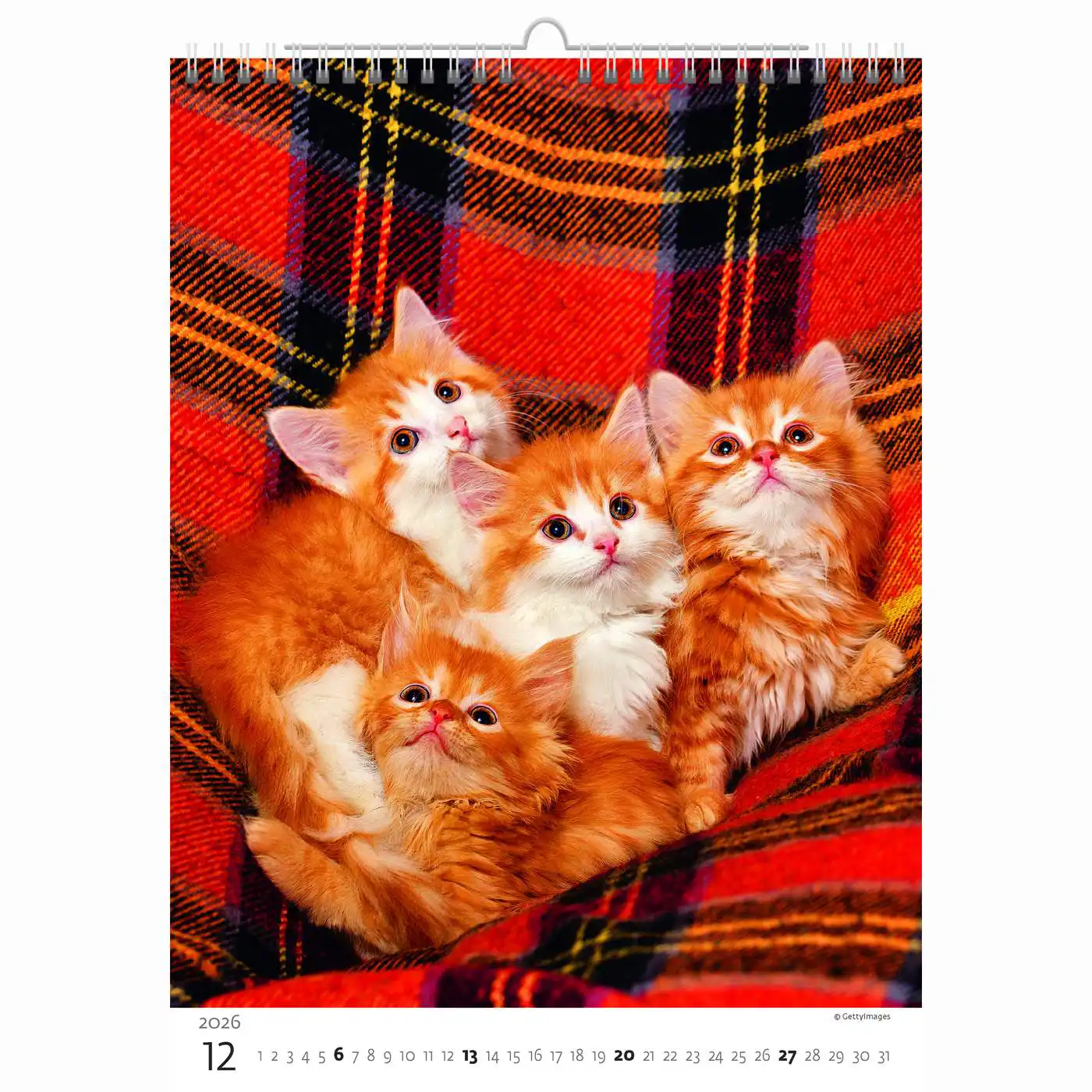 Cute Kittens Calendar A3+ 2026+ - Image 12