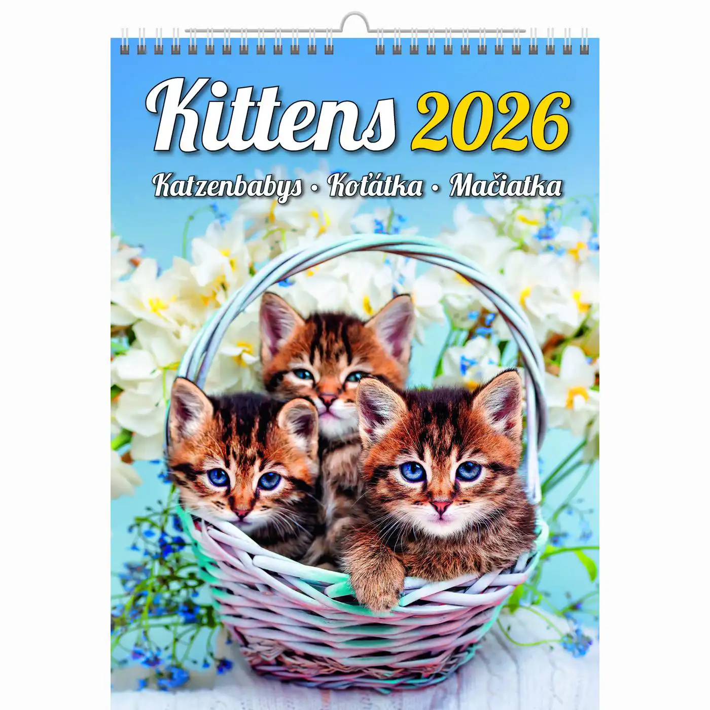 Cute Kittens Calendar A3+ 2026+ - Image 13