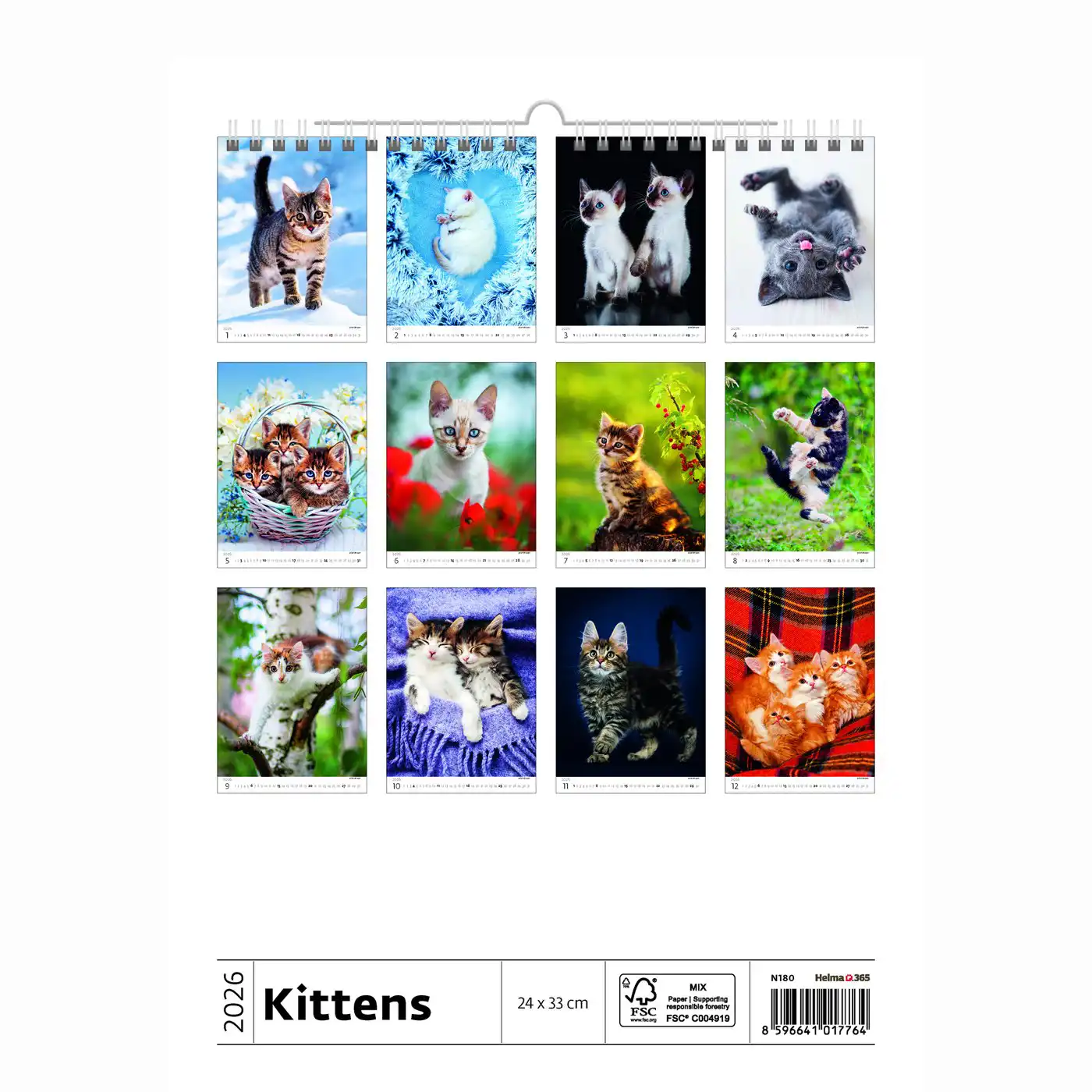 Cute Kittens Calendar A3+ 2026+ - Image 14