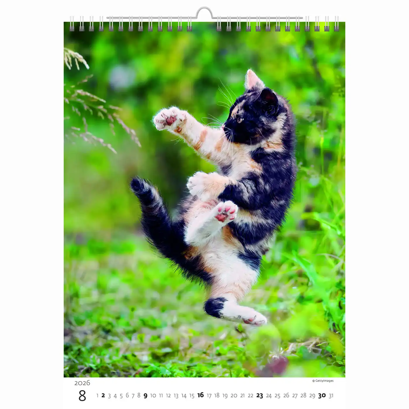 Cute Kittens Calendar A3+ 2026+ - Image 8