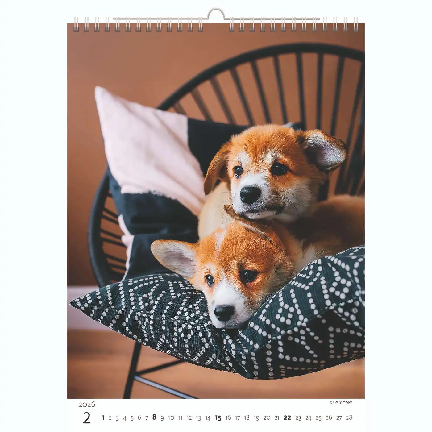 Puppy Photos Calendar A3+ 2026+ - Image 3