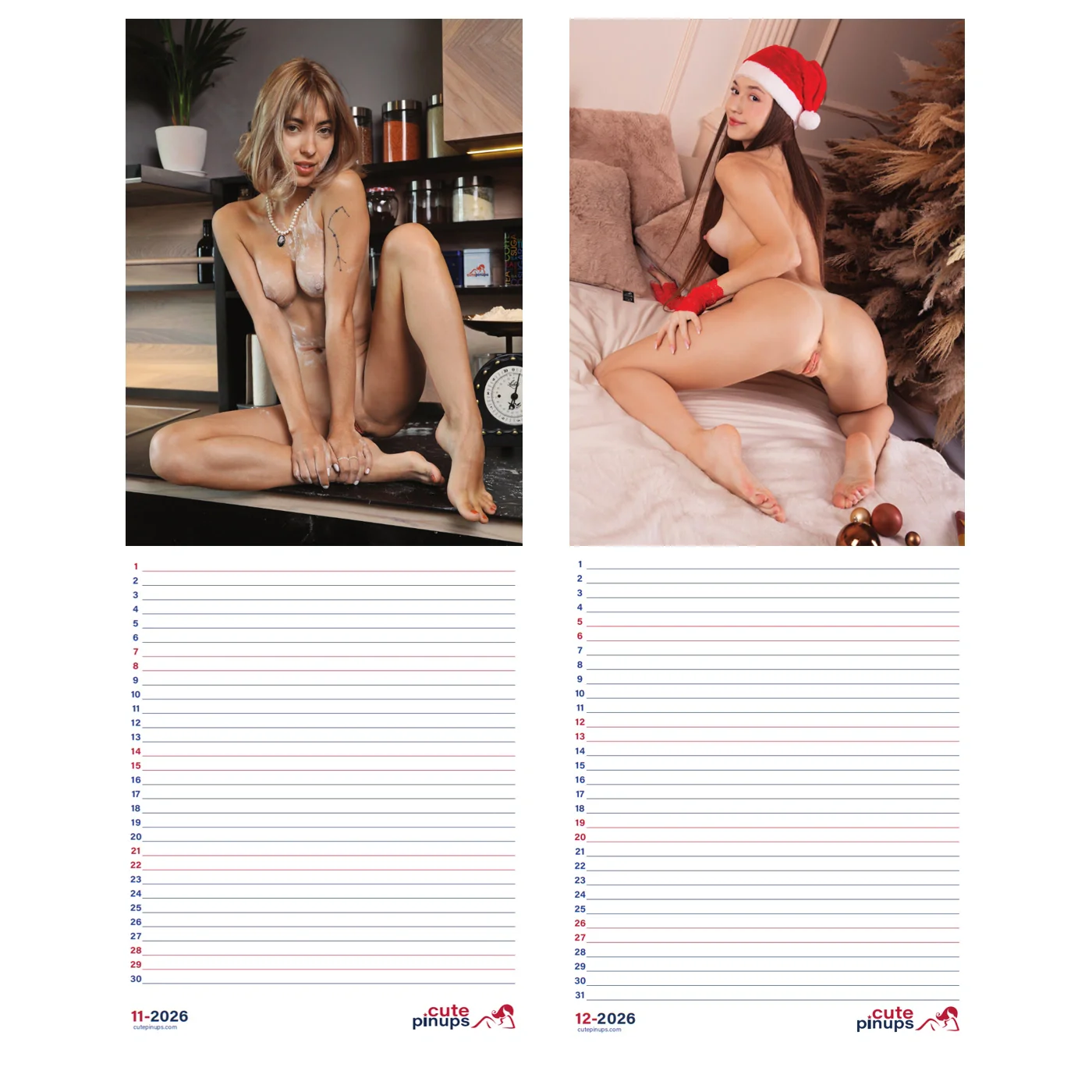 Erotic A4 calendar naked with writing space 2026 and 2027 - Image 3