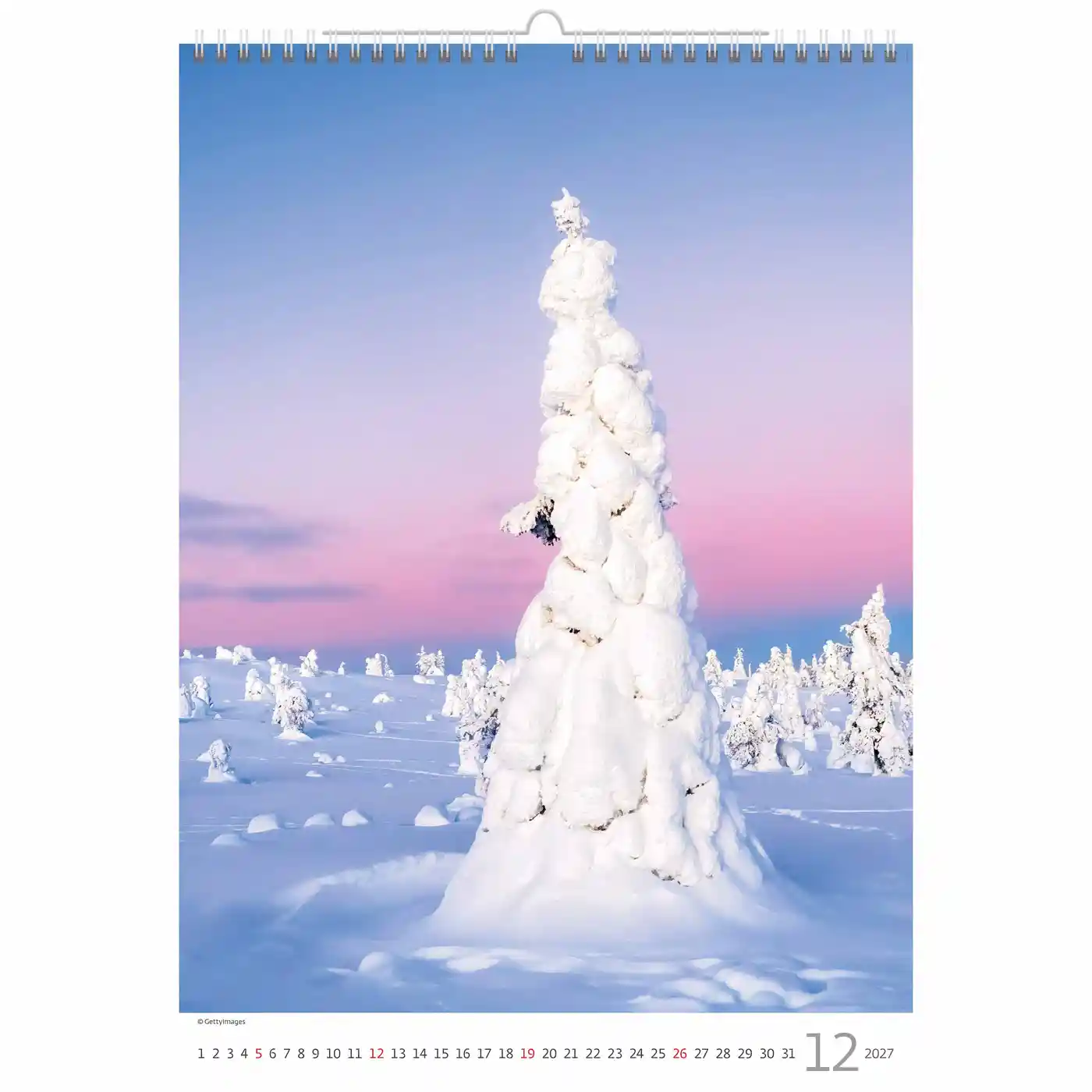 C125-27 Trees Calendar A3+ size 2027 + free 2026 calendar - Image 13