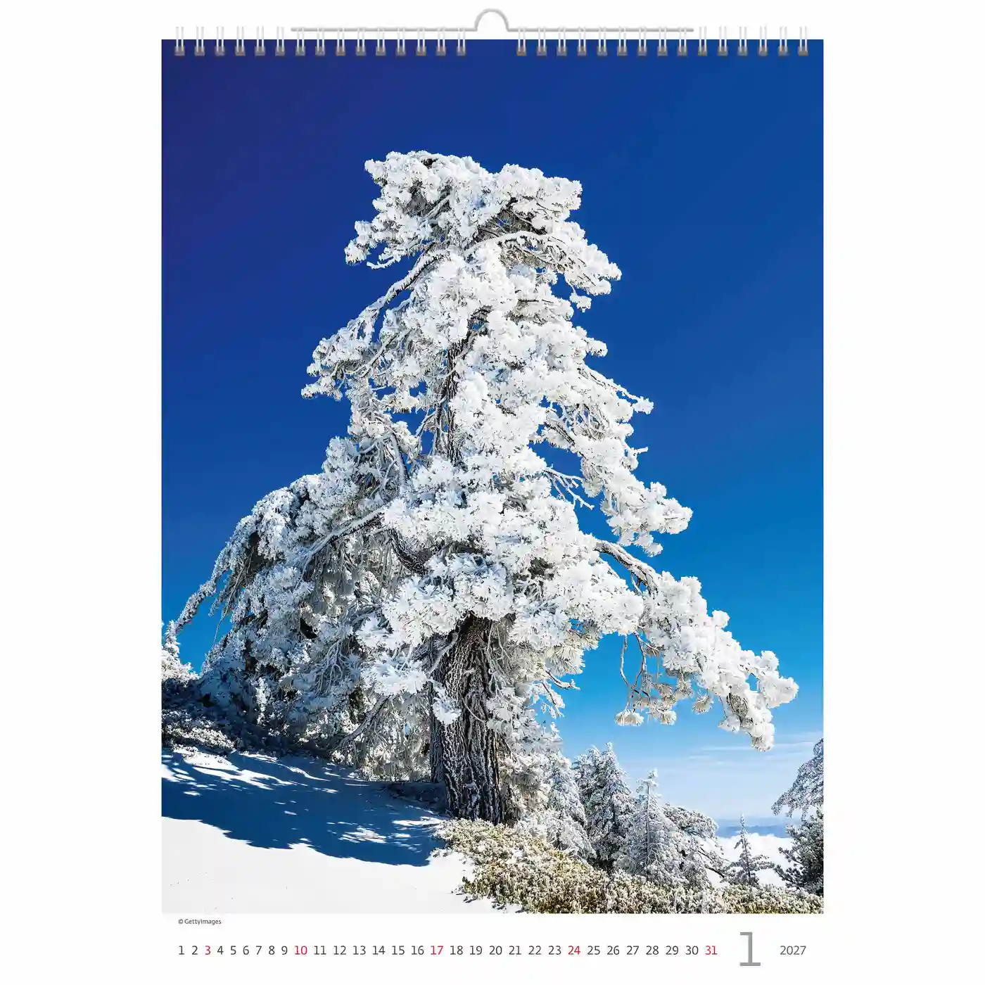 C125-27 Trees Calendar A3+ size 2027 + free 2026 calendar - Image 14