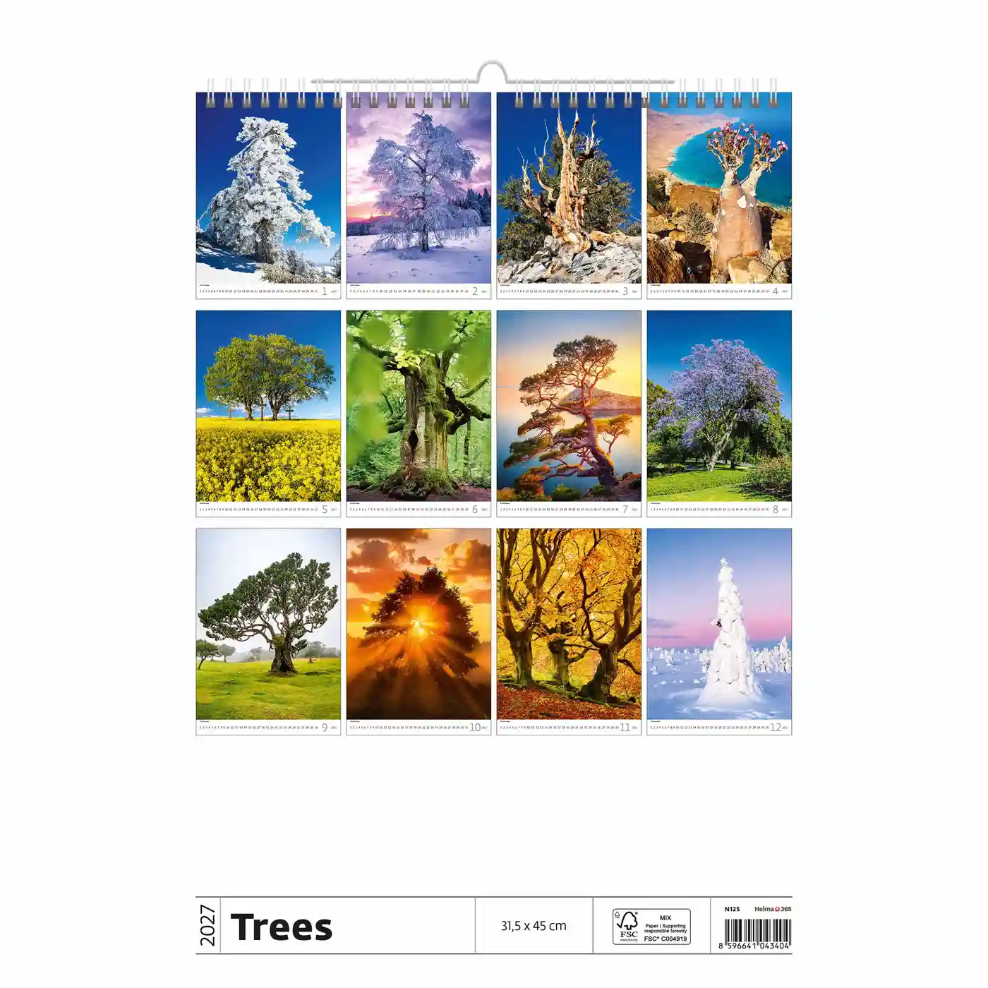 C125-27 Trees Calendar A3+ size 2027 + free 2026 calendar - Image 15