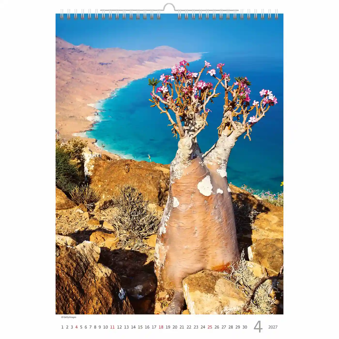 C125-27 Trees Calendar A3+ size 2027 + free 2026 calendar - Image 4