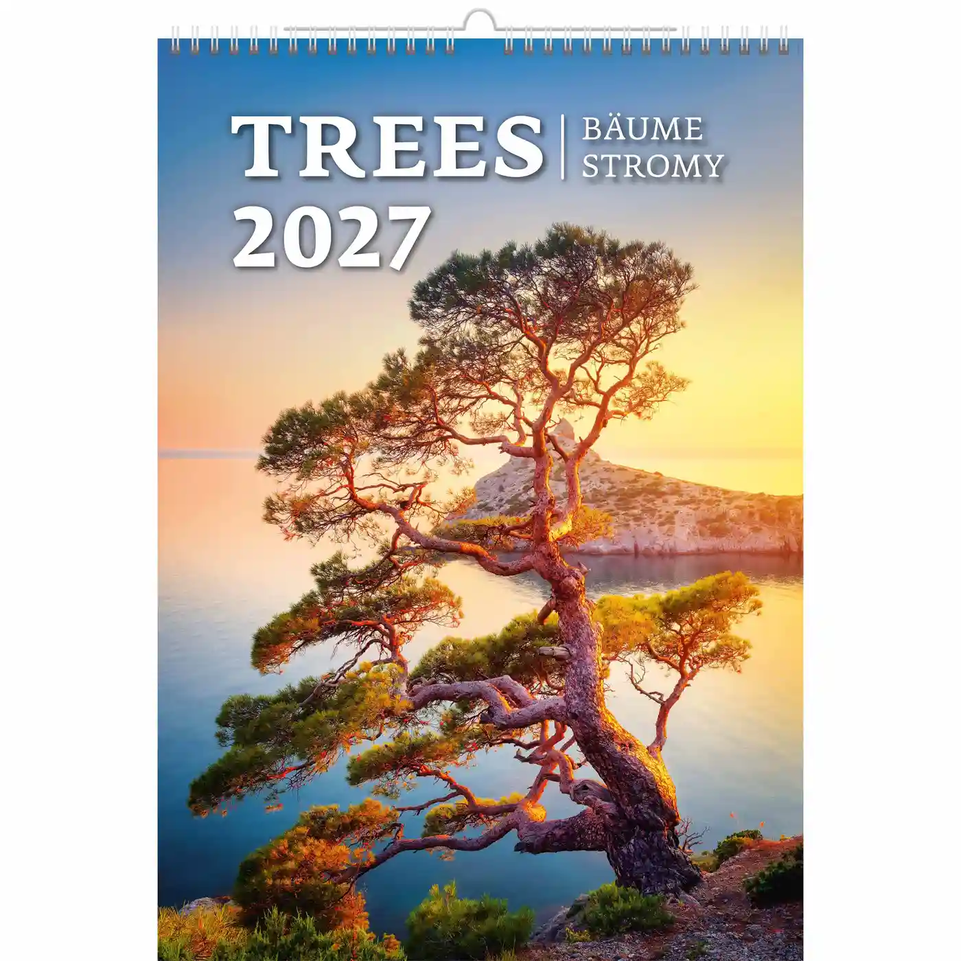 C125-27 Trees Calendar A3+ size 2027 + free 2026 calendar - Image 5
