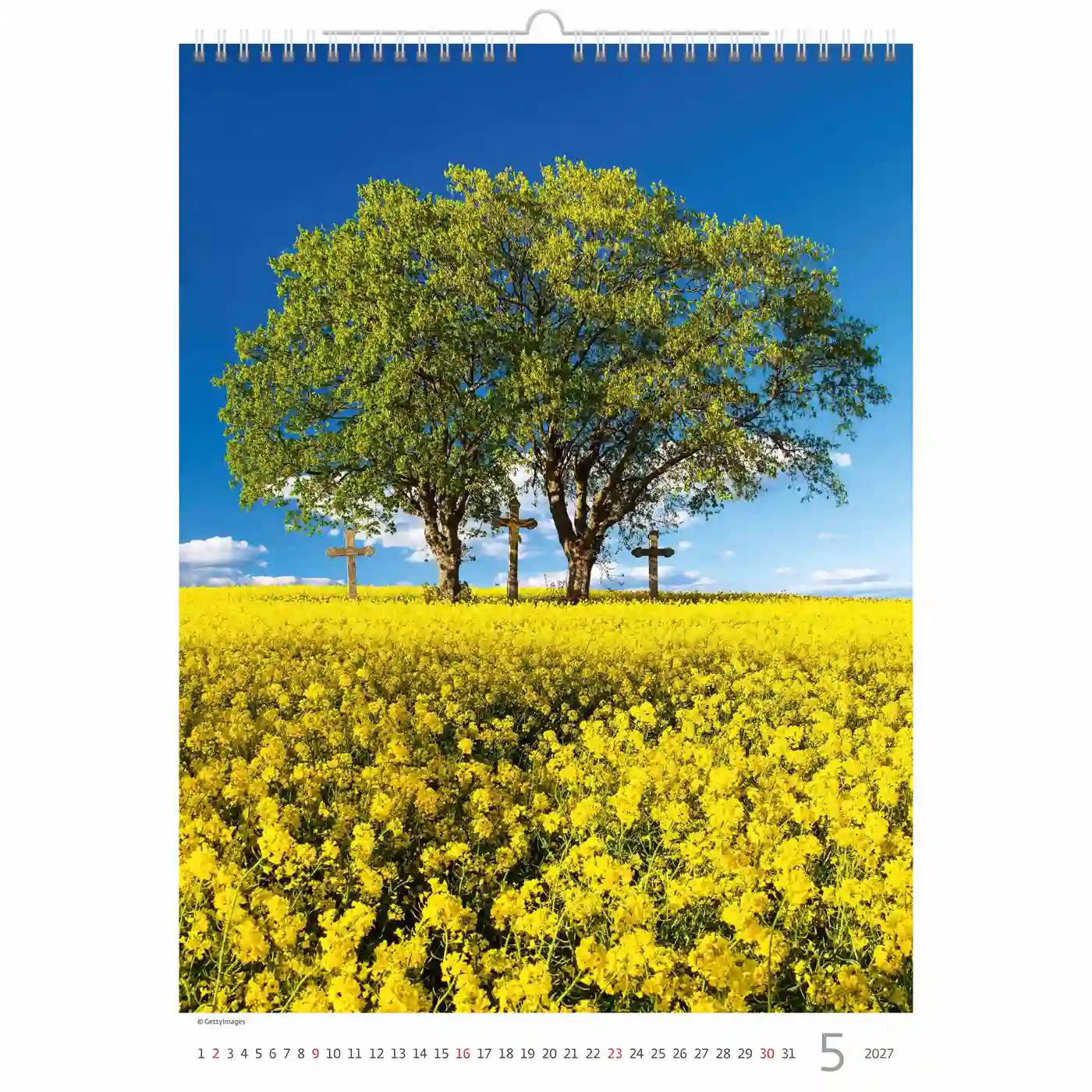 C125-27 Trees Calendar A3+ size 2027 + free 2026 calendar - Image 6