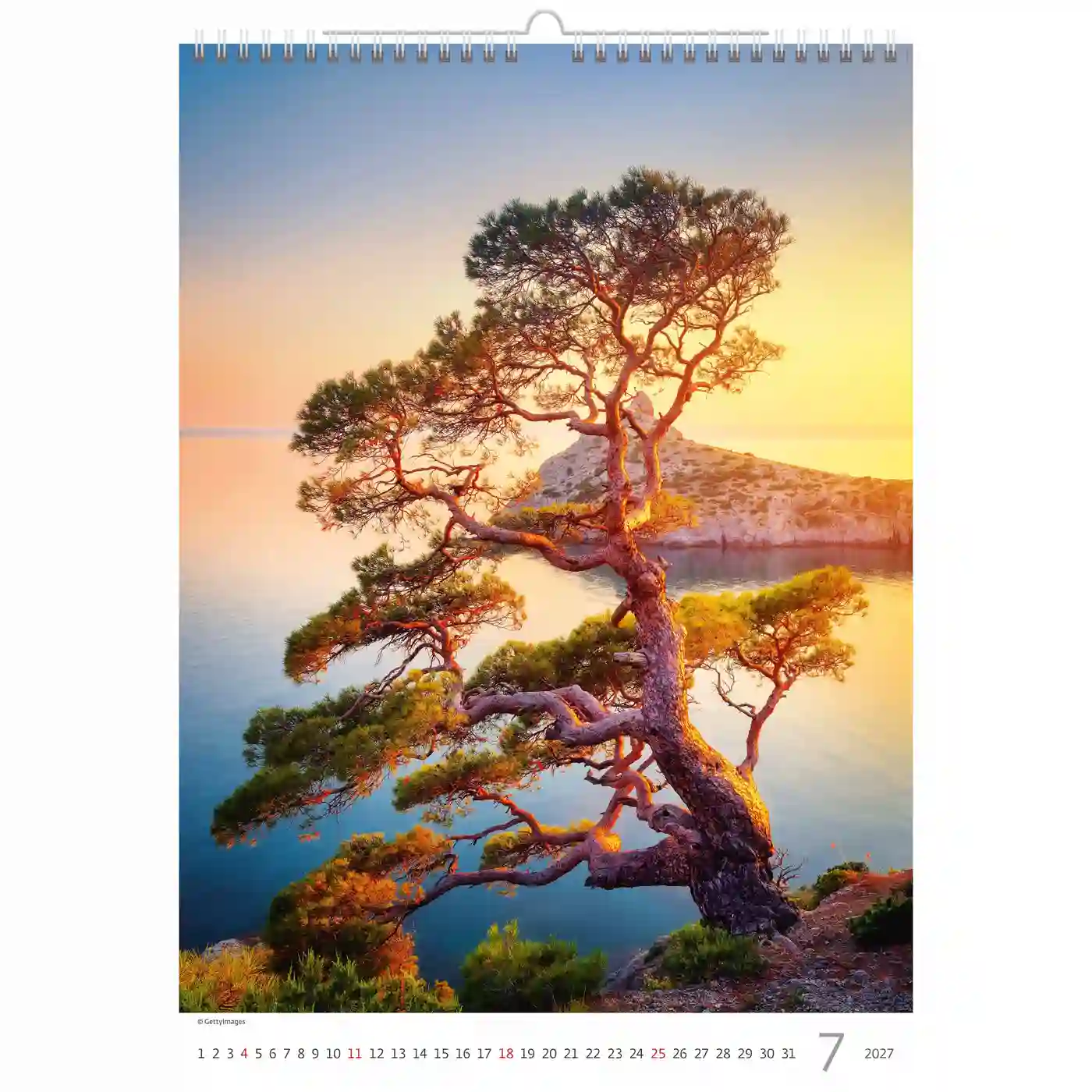 C125-27 Trees Calendar A3+ size 2027 + free 2026 calendar - Image 8