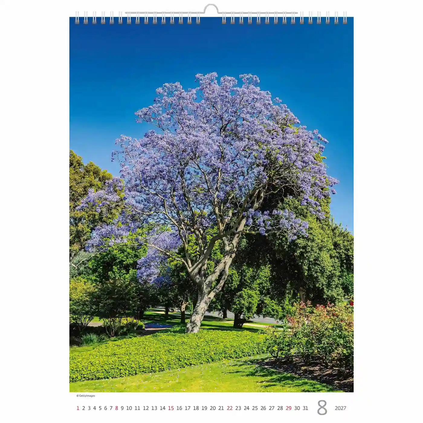 C125-27 Trees Calendar A3+ size 2027 + free 2026 calendar - Image 9